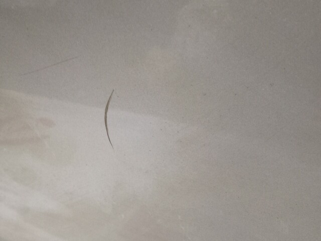 Дверь TOYOTA Vitz 