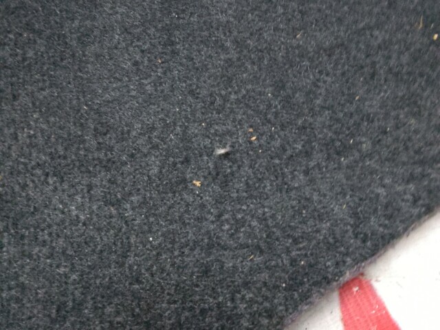 Обшивка багажника TOYOTA Camry 