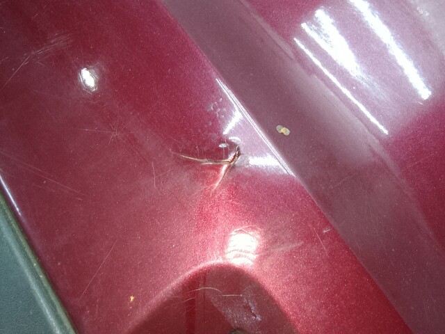 Бампер задний FORD Focus II 