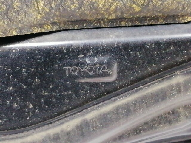 Капот TOYOTA Wish 