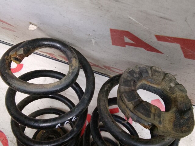 Пружина NISSAN Dualis 