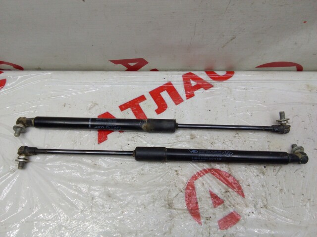 Амортизатор багажника RENAULT Duster 