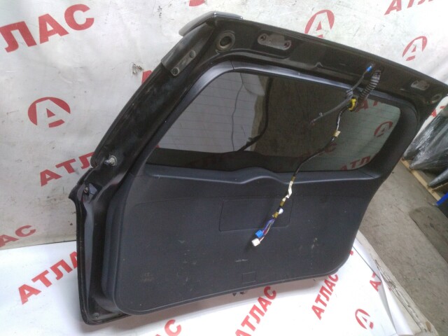 Дверь багажника TOYOTA Corolla Fielder 