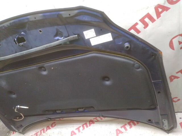 Капот TOYOTA Corolla Axio 