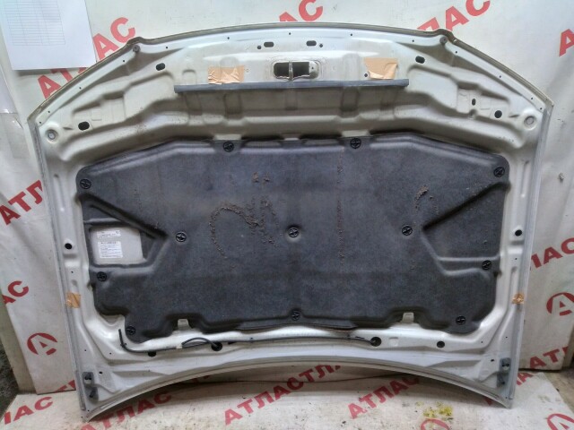 Капот NISSAN Bluebird Sylphy 