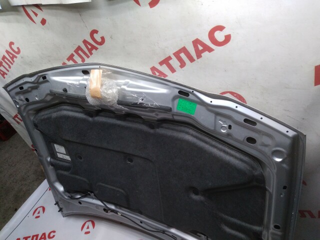 Капот NISSAN Wingroad 