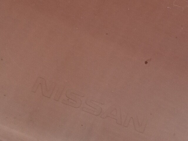 Ветровик NISSAN Dualis 