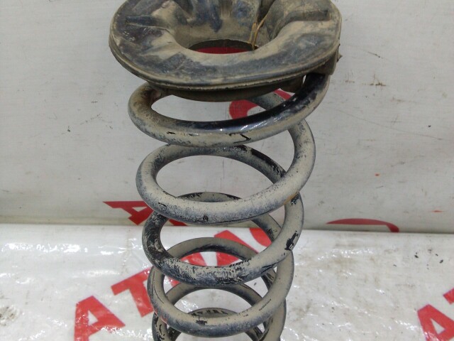 Пружина RENAULT Sandero Stepway 